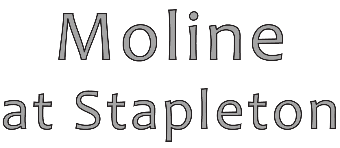 Moline at Stapleton Apartments in Denver, CO